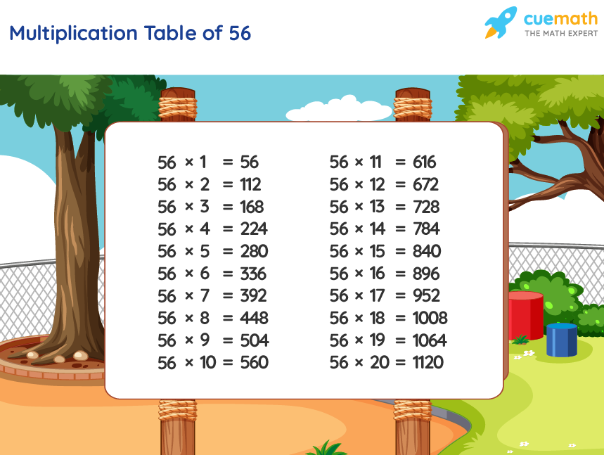 56 X 3