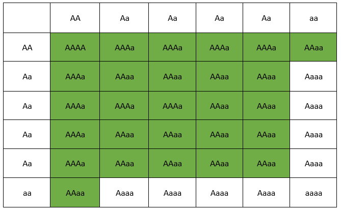 Aaaa X Aaaa