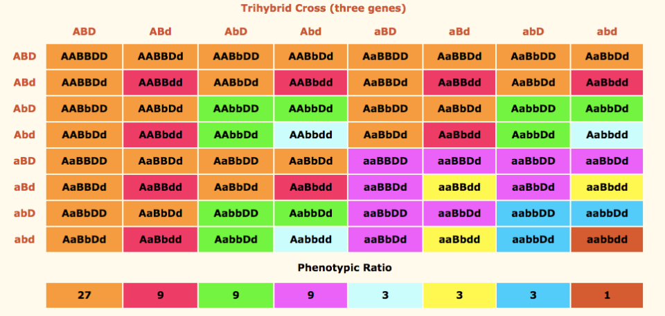 Aabbdd X Aabbdd