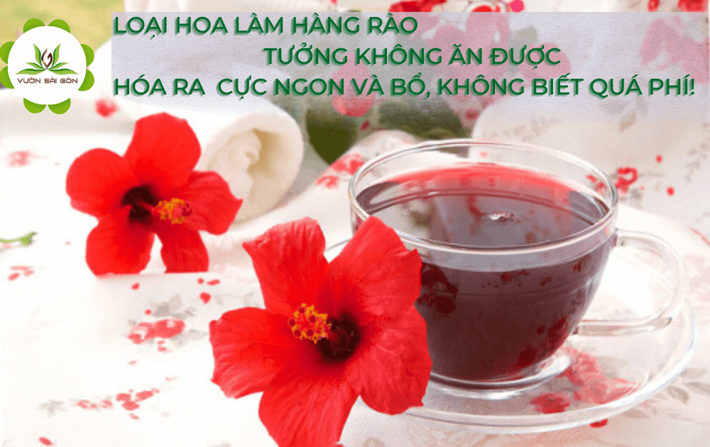 ăn Làm Ra