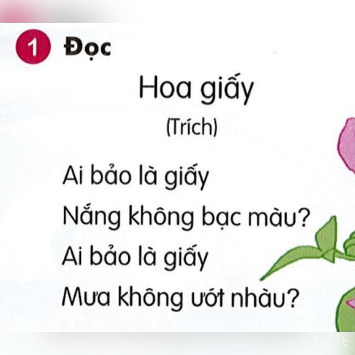 Bài Hoa Giấy