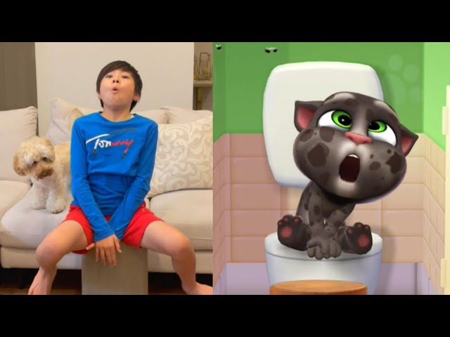 Bắt Mèo Tom