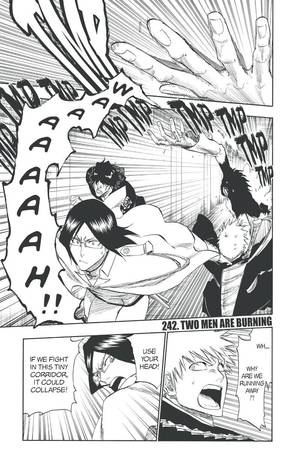 Bleach Chap 242