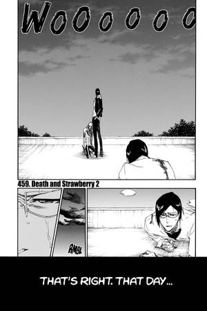 Bleach Chap 459