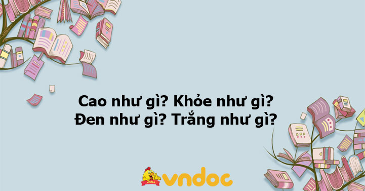 Cao Như Gì