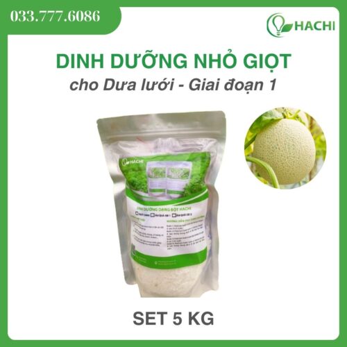 Cho Dung Dịch