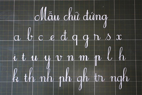 Chữ Cỡ Nhỡ