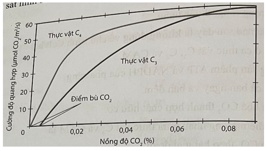 điểm Bù Co2