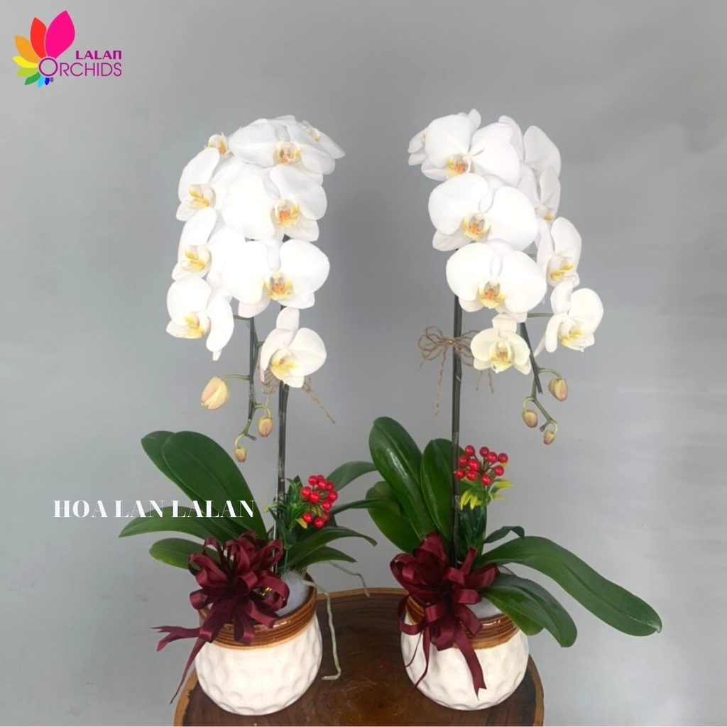 Diep Gia Trang