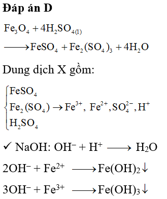 Fe304 H2so4 Loãng