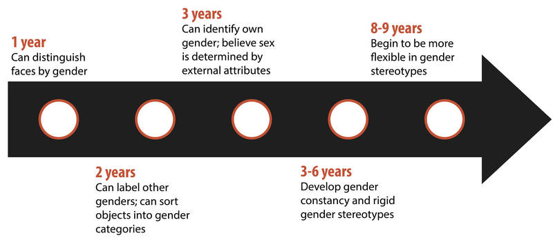 Gender Roles Develop