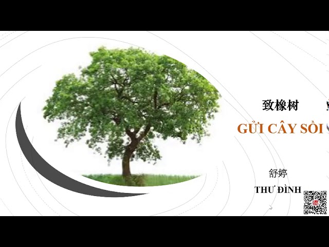 Gửi Cây Sồi