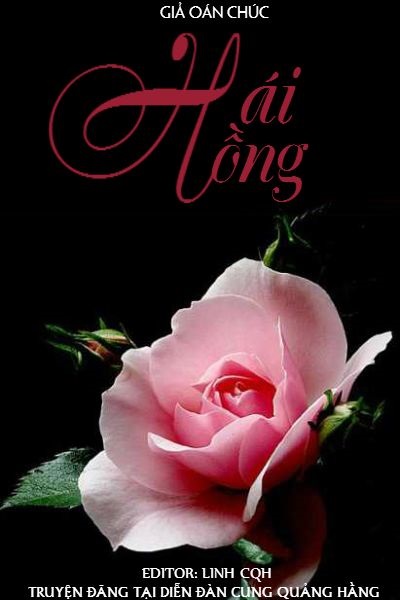 Hái Hồng Full