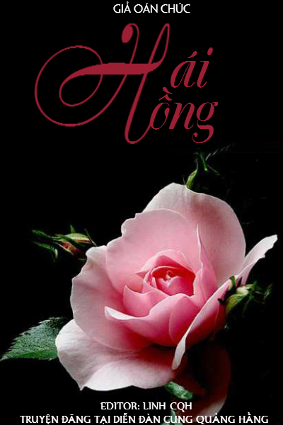 Hái Hồng Review