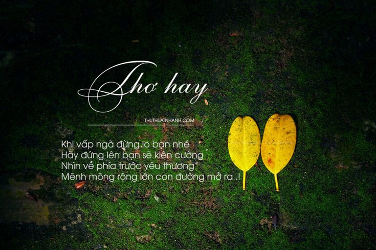 Hình ảnh Thơ