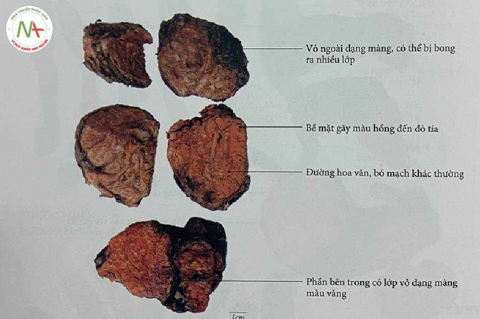Hồng Cảnh Thiên
