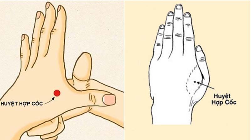 Huyệt Hợp Cốc