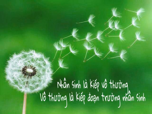 Kiếp Vô Thường