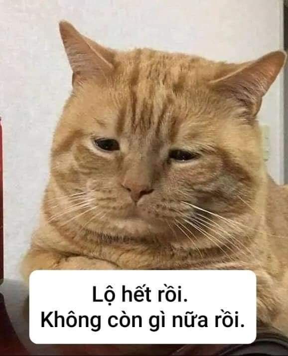 Lộ Hết Rồi