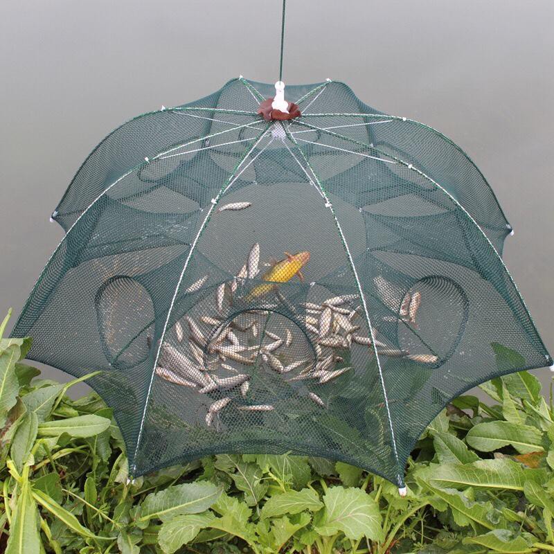 Lưới Bát Quái