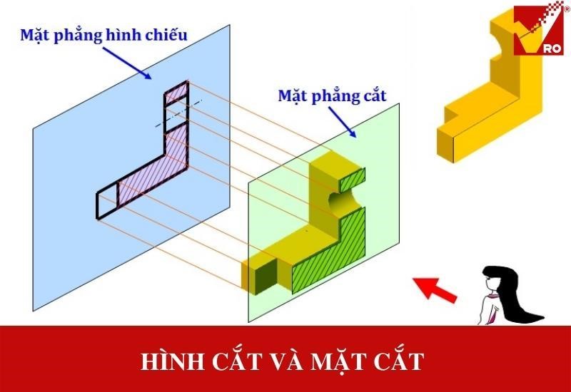 Mặt Cắt Là