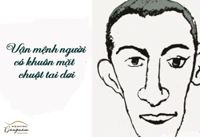 Mặt Chuột Kẹp
