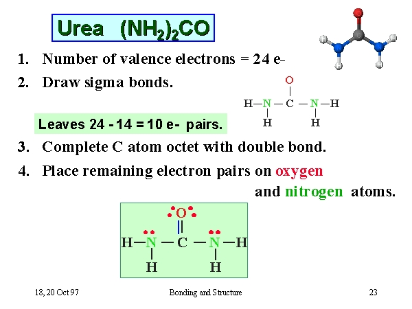 Nh2 2co H2o