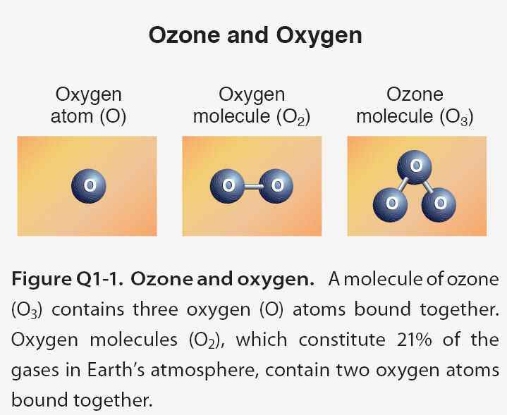 O 1 O2