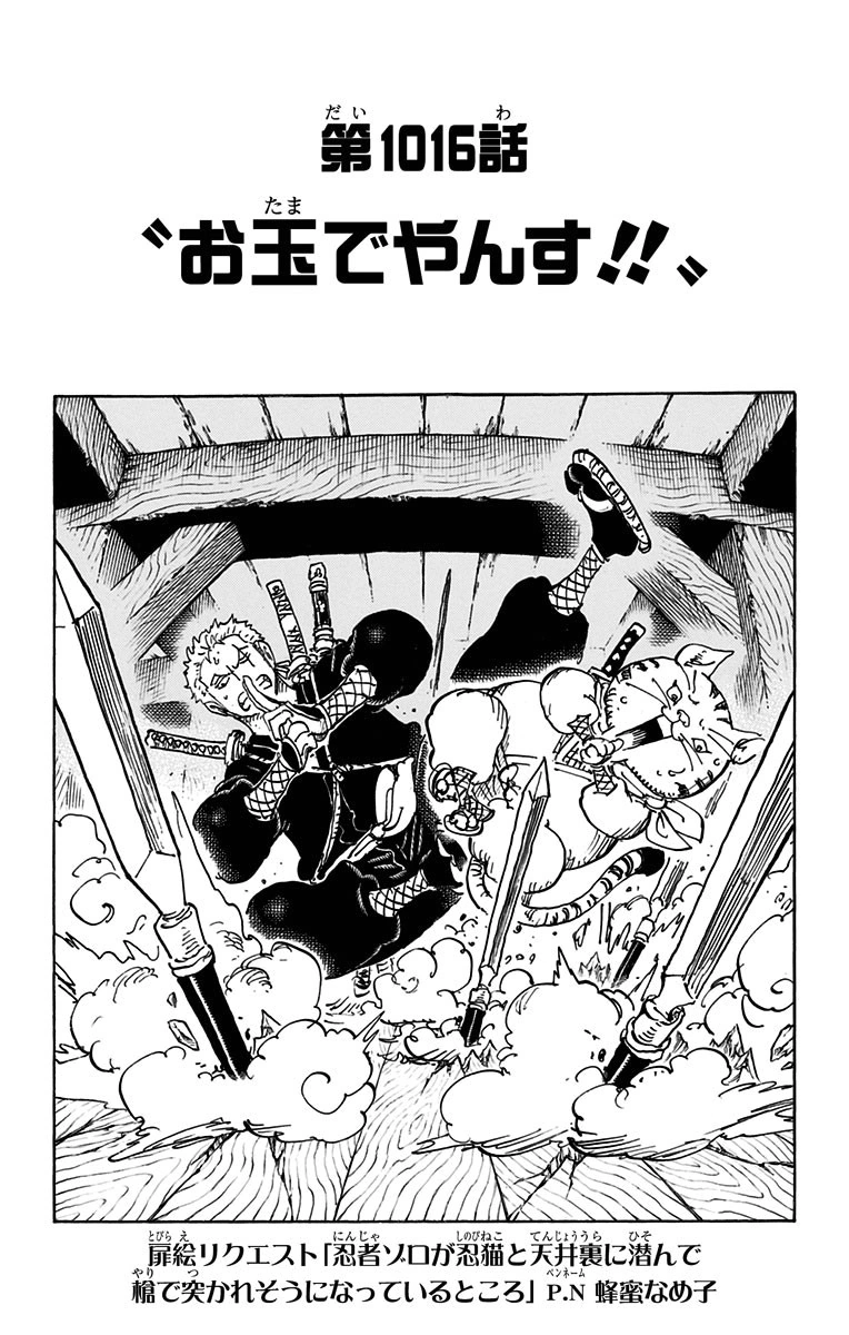 One Piece 1016