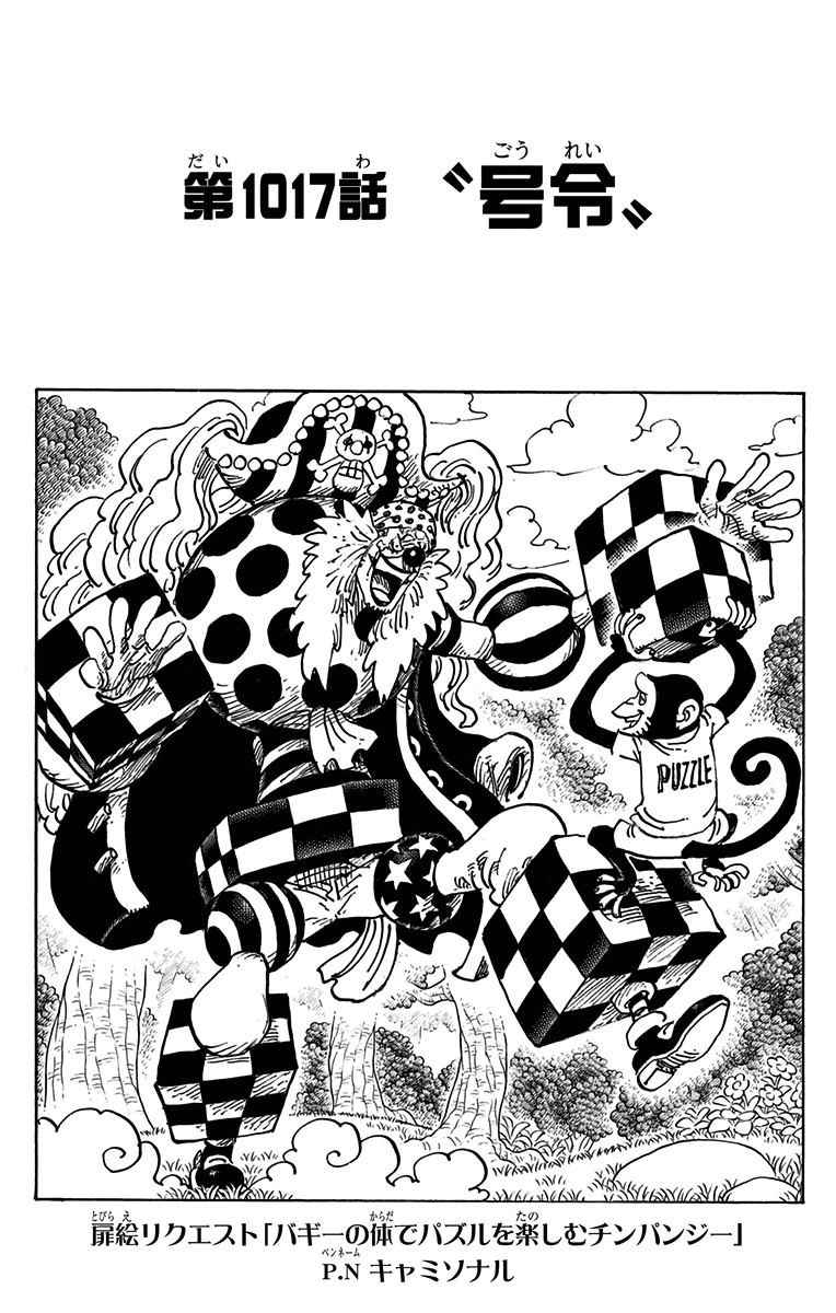 One Piece 1017