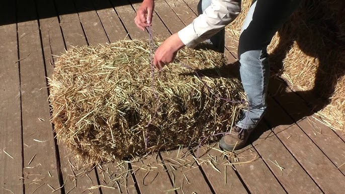 Opening Hay Openning