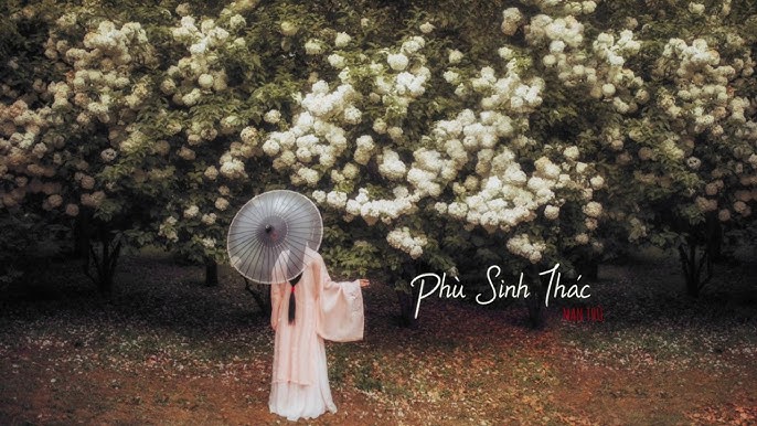 Phù Sinh Thác