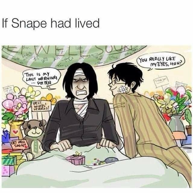 Snape X Harry