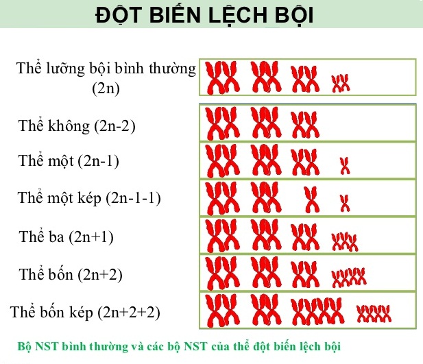 Thể 1 Nhiễm