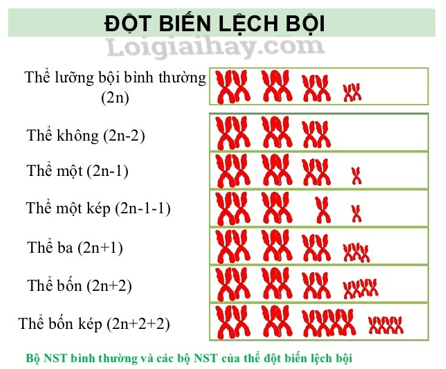 Thể Ba Kép