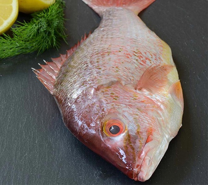 The Fish Tastes