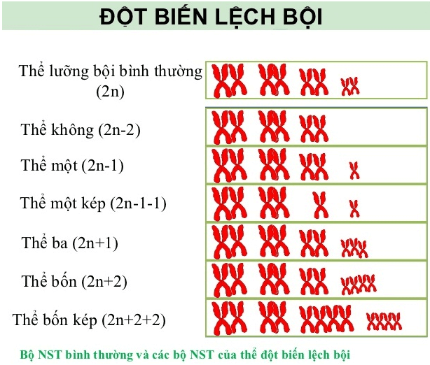 Thể Một Nhiễm