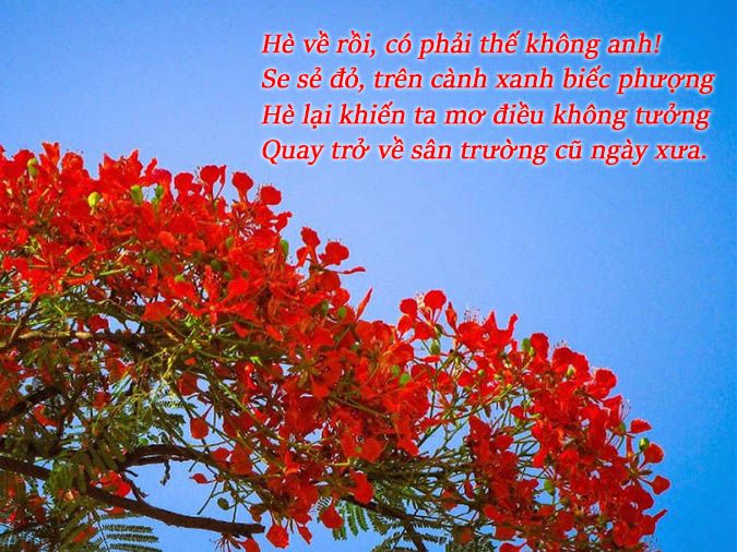 Thơ 8 Chữ