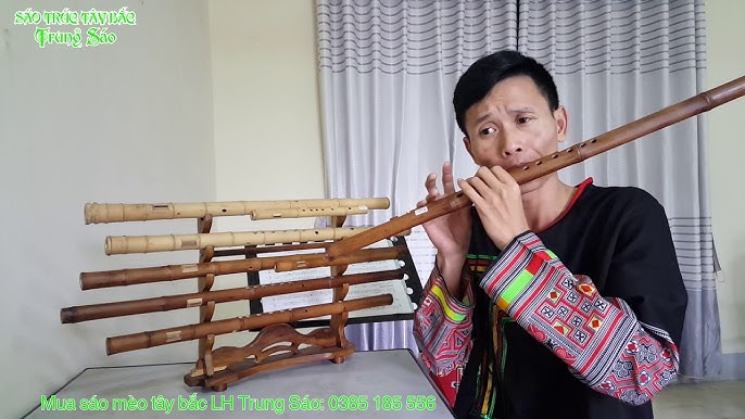Tiếng Sáo Mèo