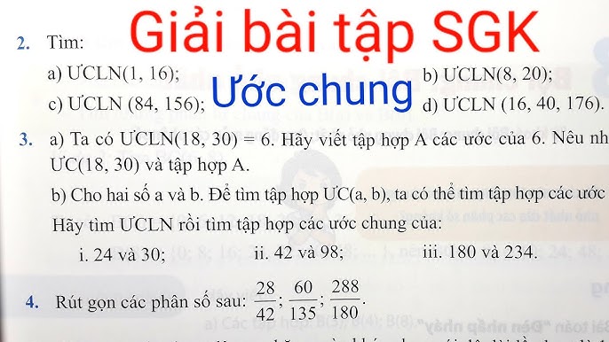 ước Của 84