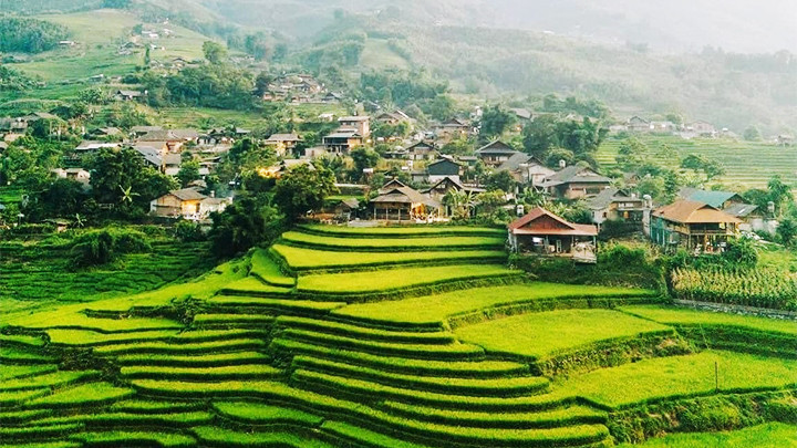 Van Bao Ruong