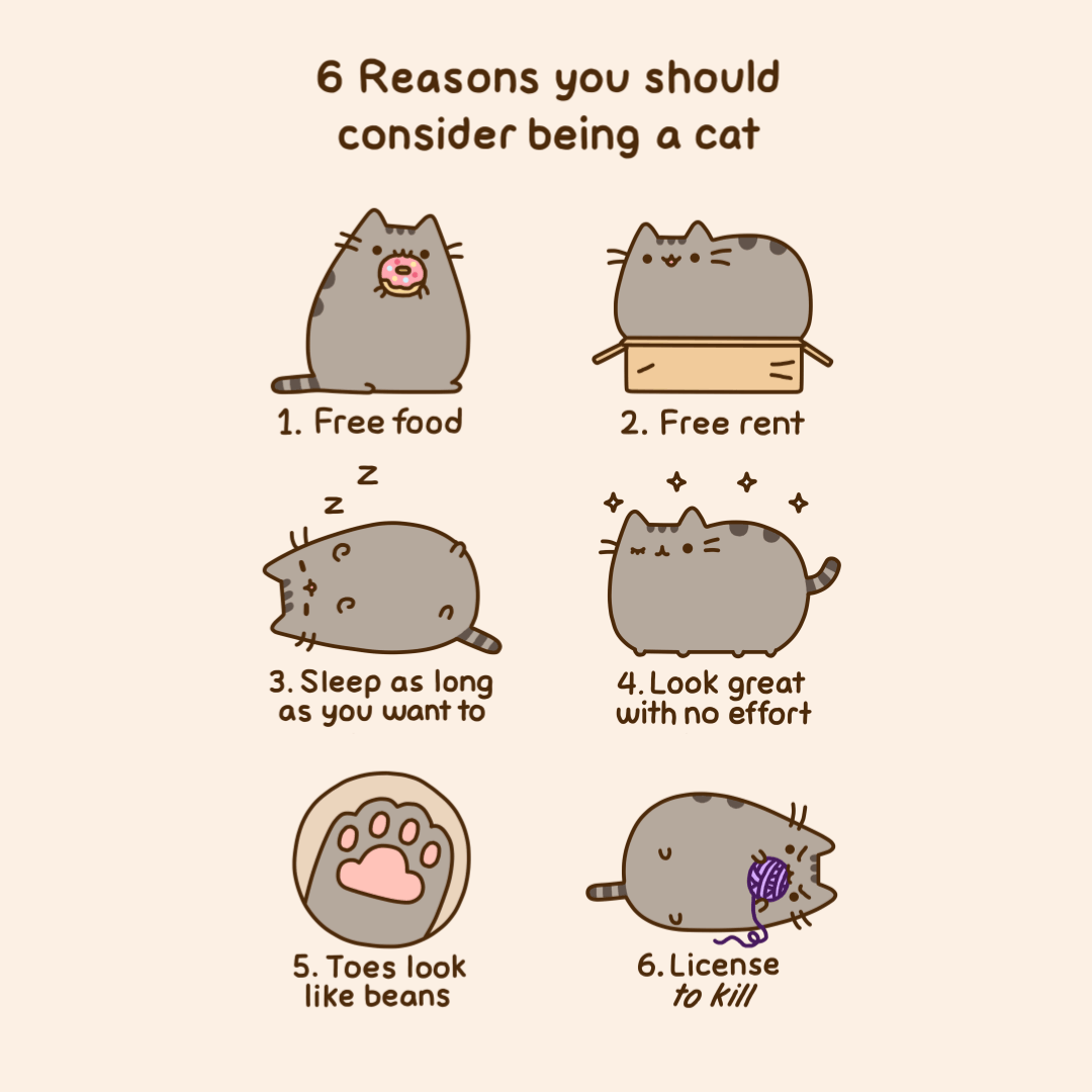 You Should Consider